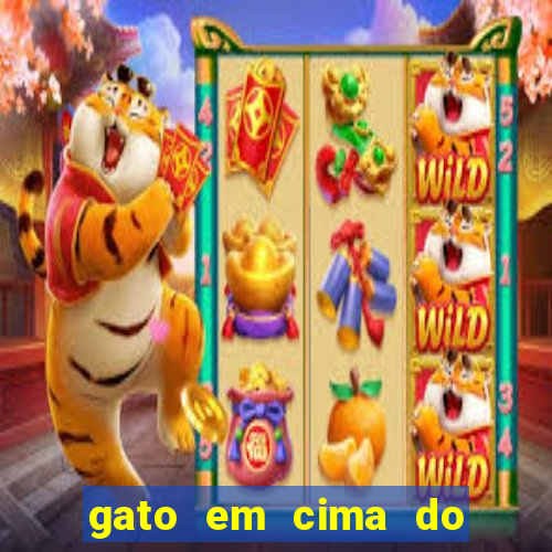 gato em cima do telhado significado espiritual